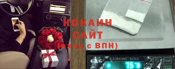 бошки Белокуриха
