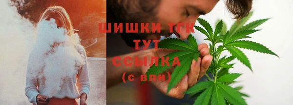 амф Богородицк
