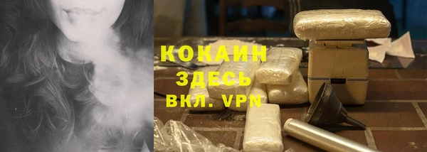 бошки Белокуриха