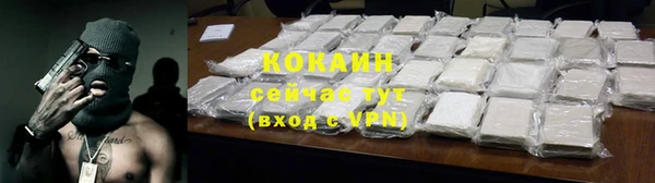 бошки Белокуриха