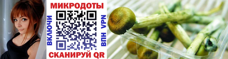 мориарти наркотические препараты Губкинский Галлюциногенные грибы MAGIC MUSHROOMS